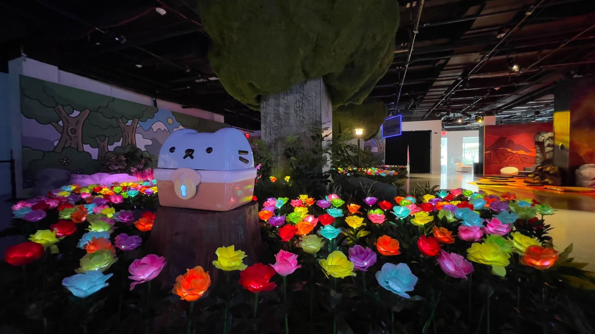 Pictures about the project