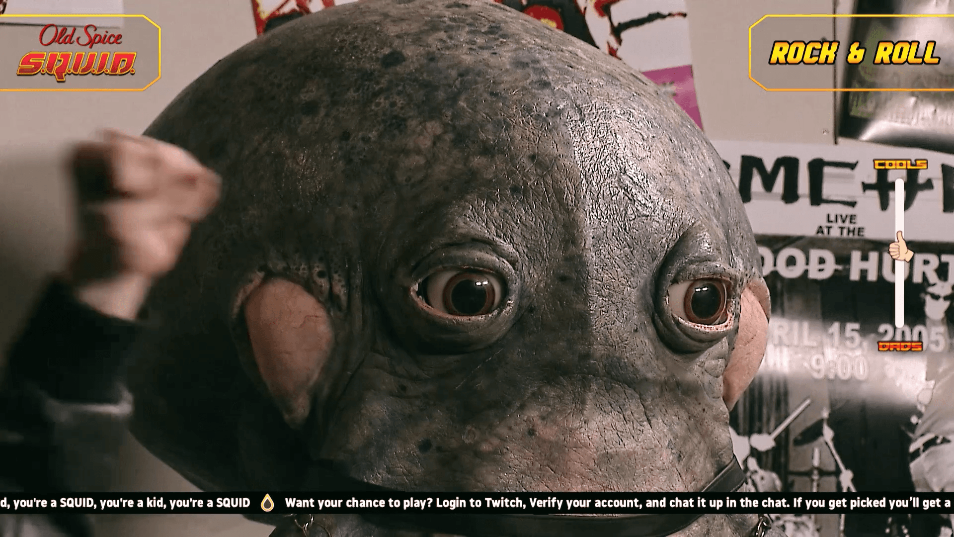 Pictures about the project