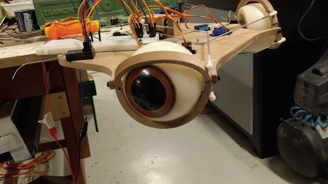 Pictures about the project