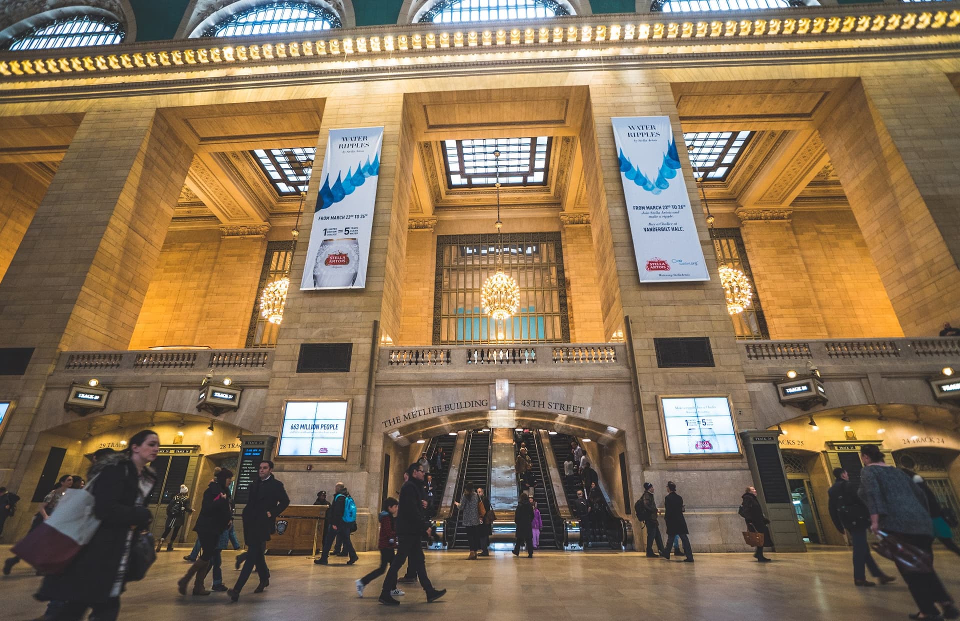 Pictures about the project