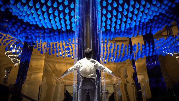 Pictures about the project