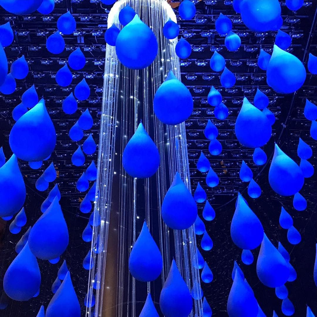 Pictures about the project